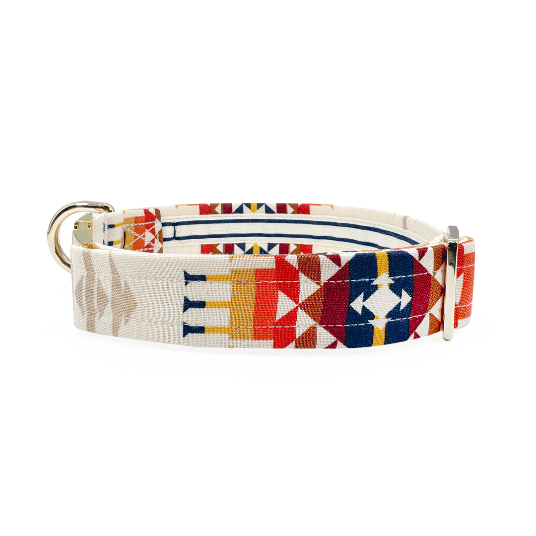 Aztec southwestern woven stripe buckle and martingale dog collar in geometric pattern.