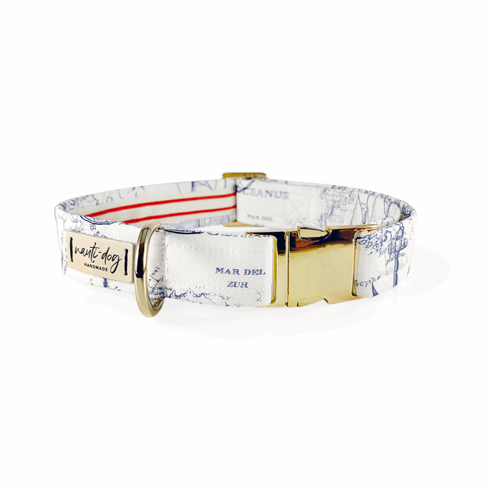 White dog collar with vintage navy nautical map print and gold buckle.