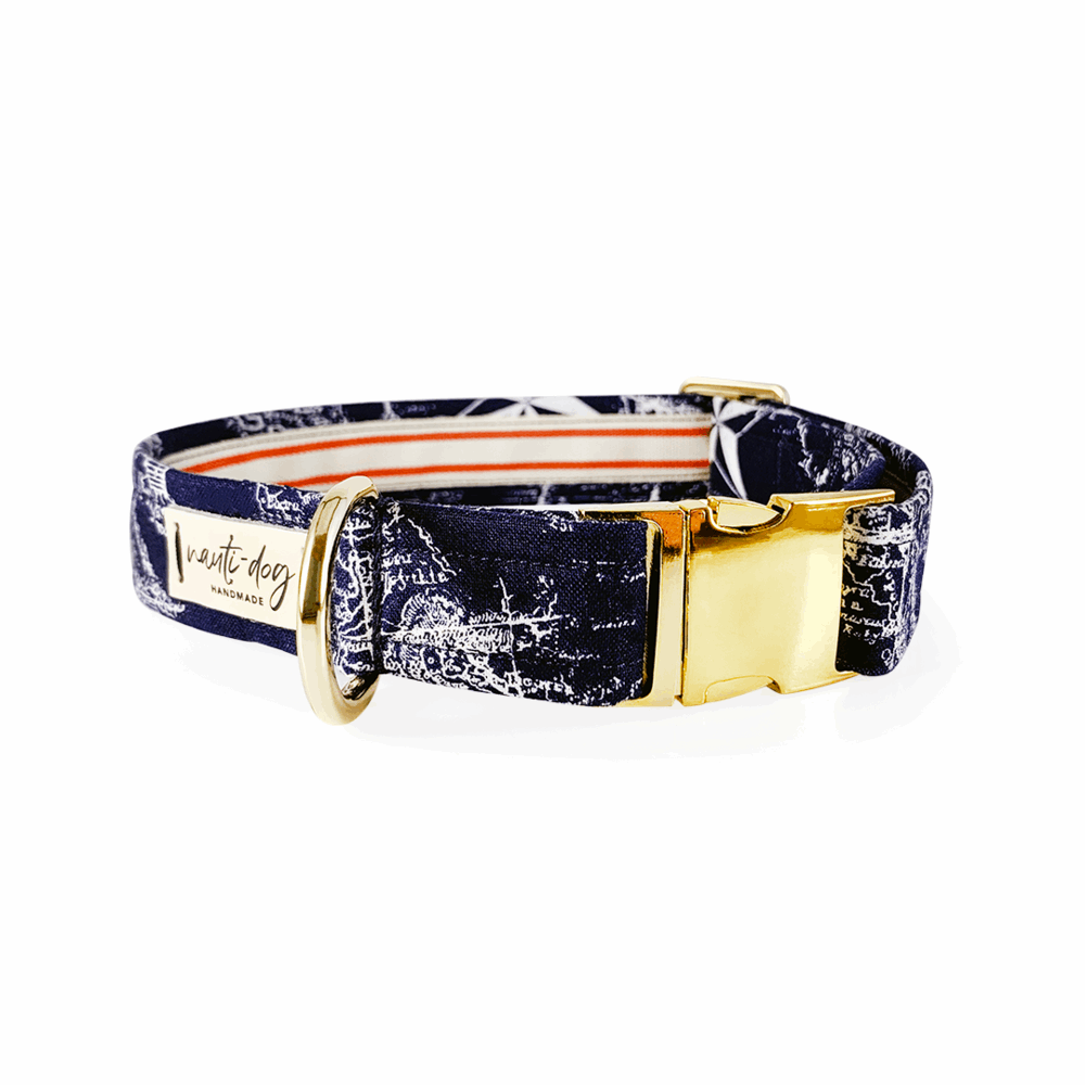 Navy vintage nautical toile dog collar with buckle and martingale.