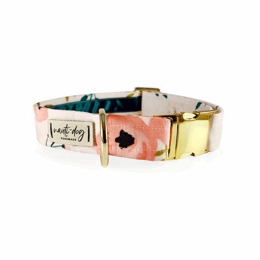Charleston Blush Floral Tea Rose buckle and martingale dog collar with watercolor coral and sage print.