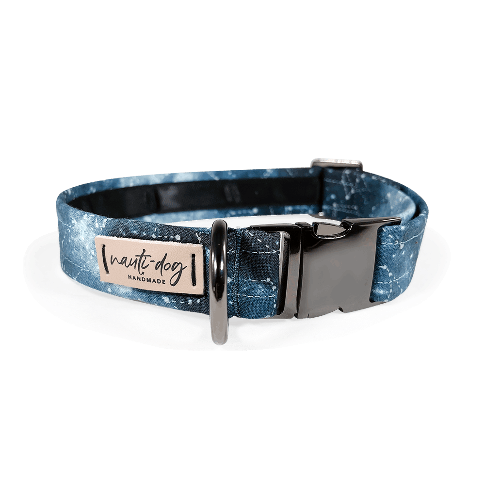 Blue dog collar with constellation star chart pattern, buckle, and martingale ring.