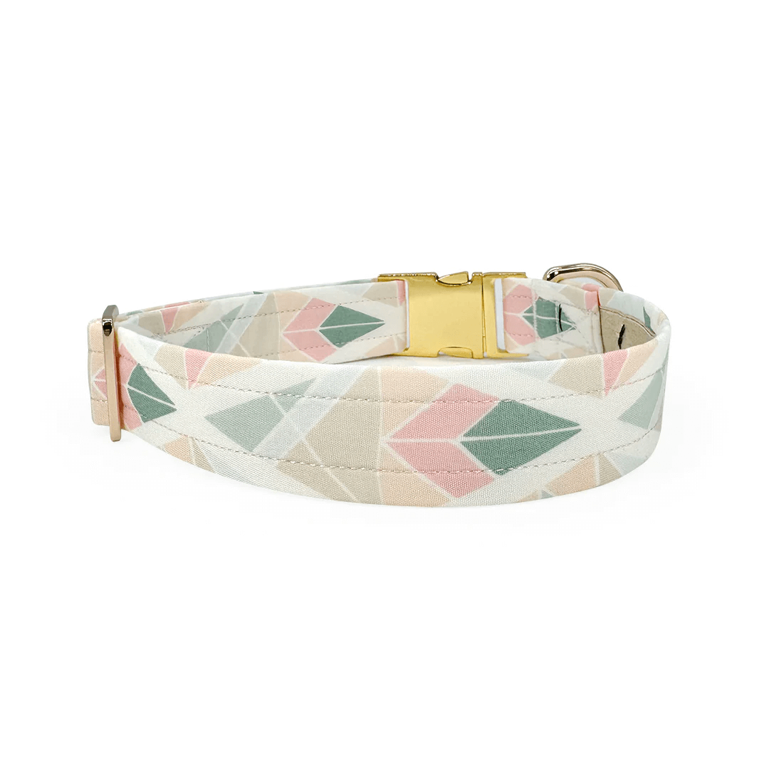 Feather Southwestern geometric mod dog collar in blush, sage, and taupe with gold hardware.
