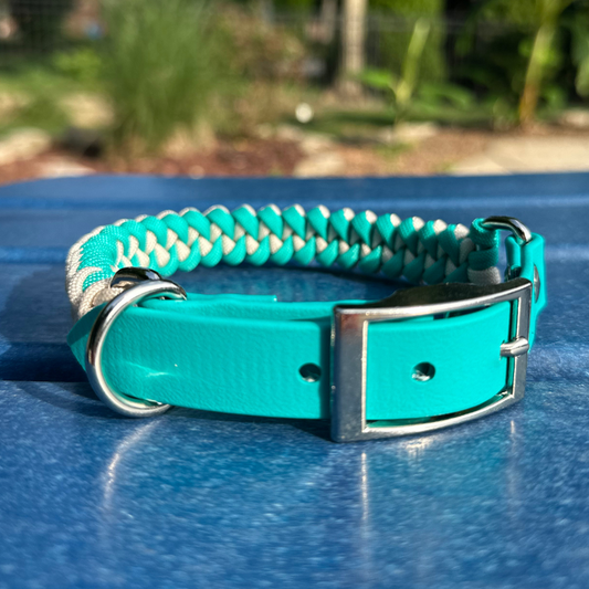 Teal and cream fishtail braided paracord dog collar with silver hardware on blue surface.