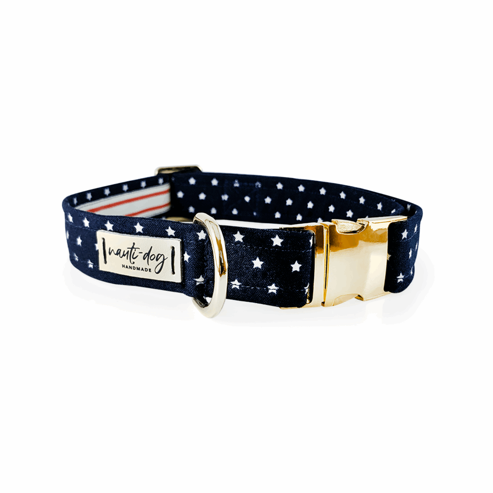 Navy dog collar with white stars, red stripes, gold buckle, and martingale ring.