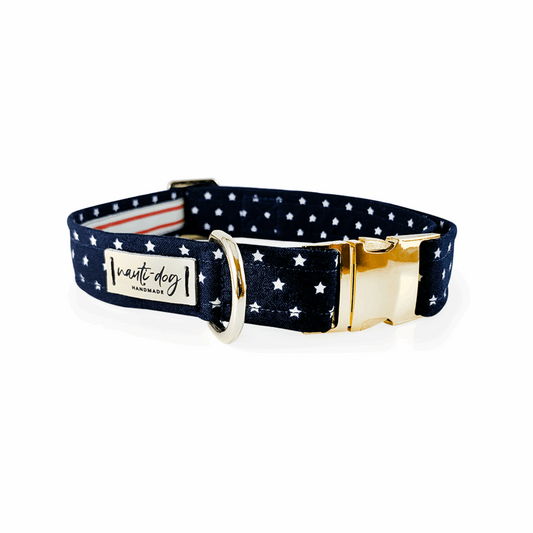 Navy dog collar with white stars, red stripes, gold buckle, and martingale ring.