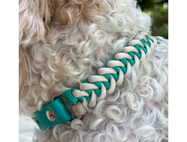 Teal and cream fishtail braided paracord dog collar with teal buckle on a white fluffy dog.
