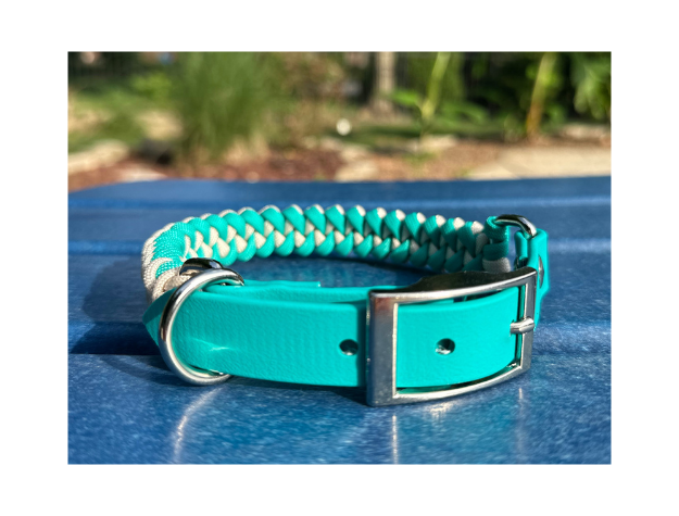 Teal and cream fishtail braided paracord dog collar with silver hardware on a blue surface.
