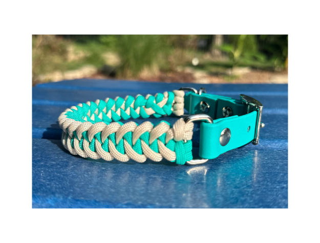 Teal and cream fishtail braided dog collar with silver hardware on a blue surface.