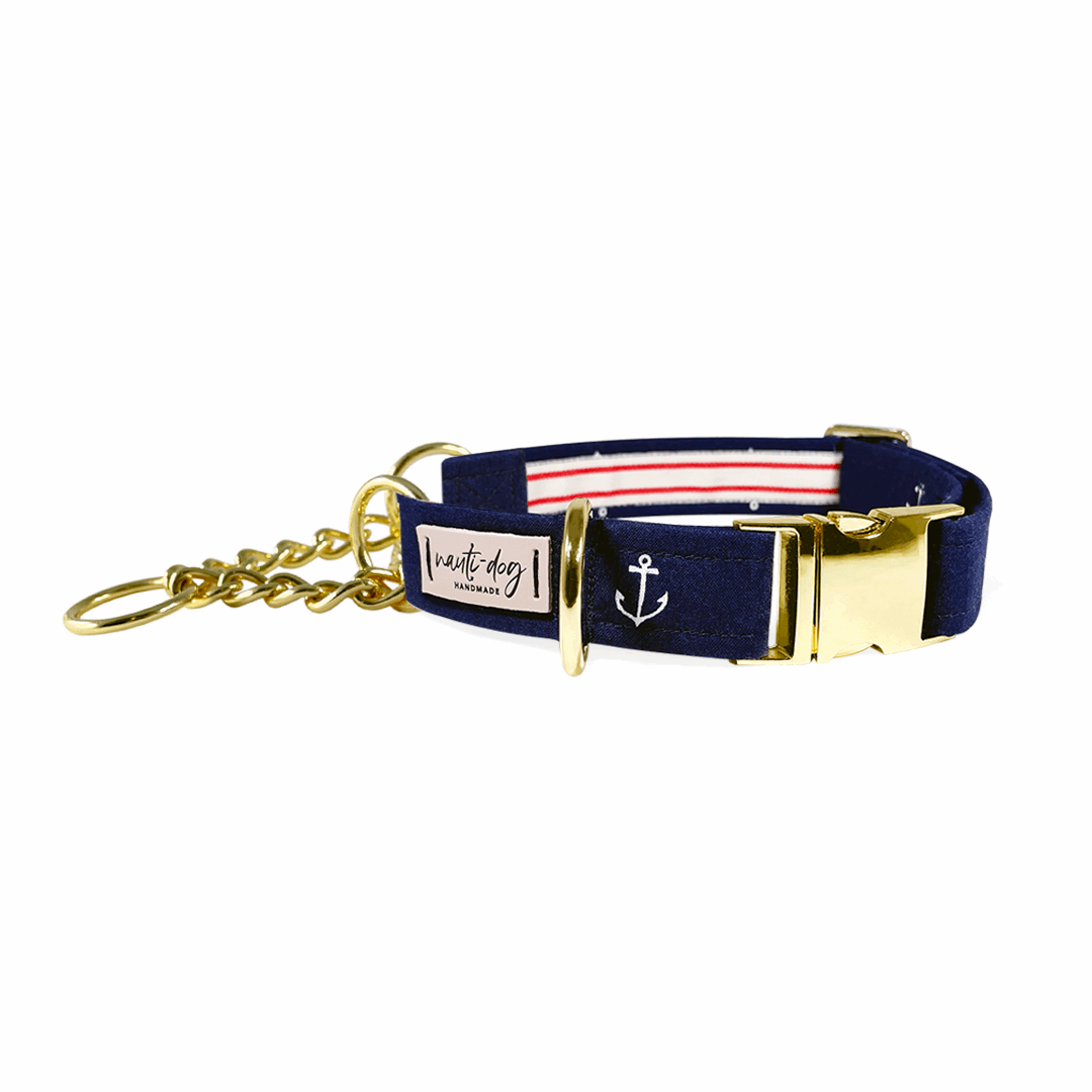 Navy blue dog collar with white anchor print and gold buckle and martingale hardware.