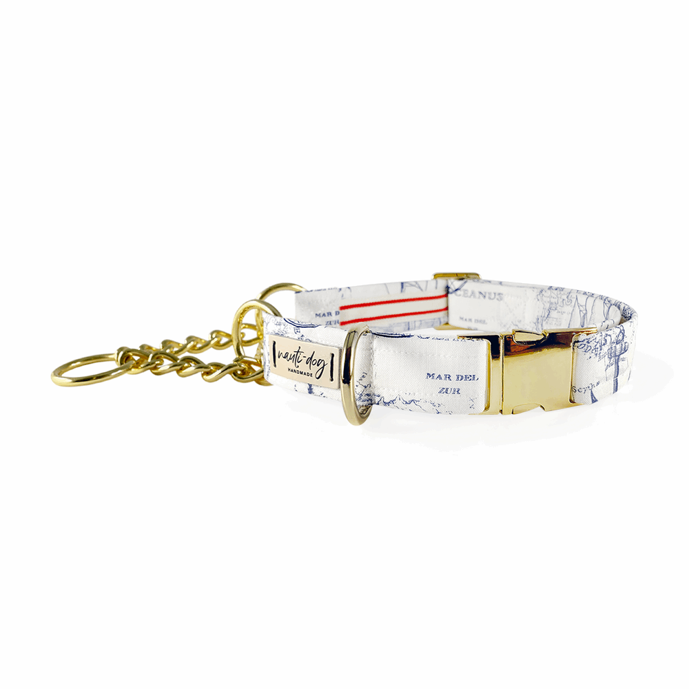 White dog collar with vintage navy nautical map print and gold buckle with martingale chain.