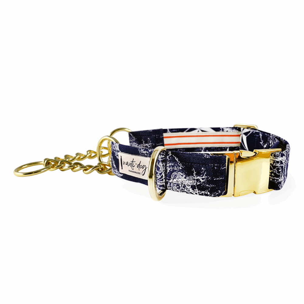 Navy vintage nautical toile dog collar with buckle and martingale.