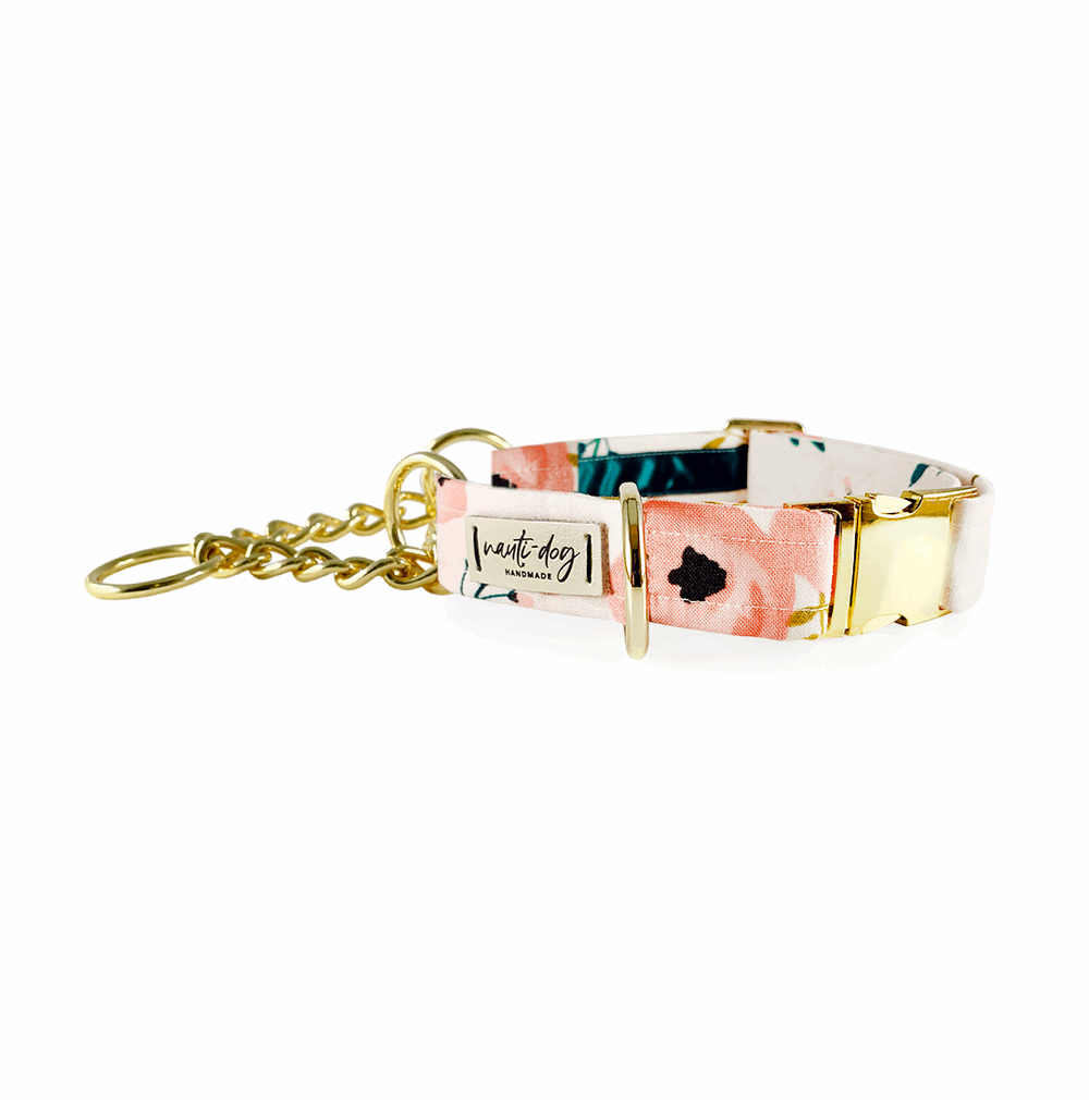 Charleston Blush Floral Tea Rose buckle and martingale dog collar with watercolor floral print.