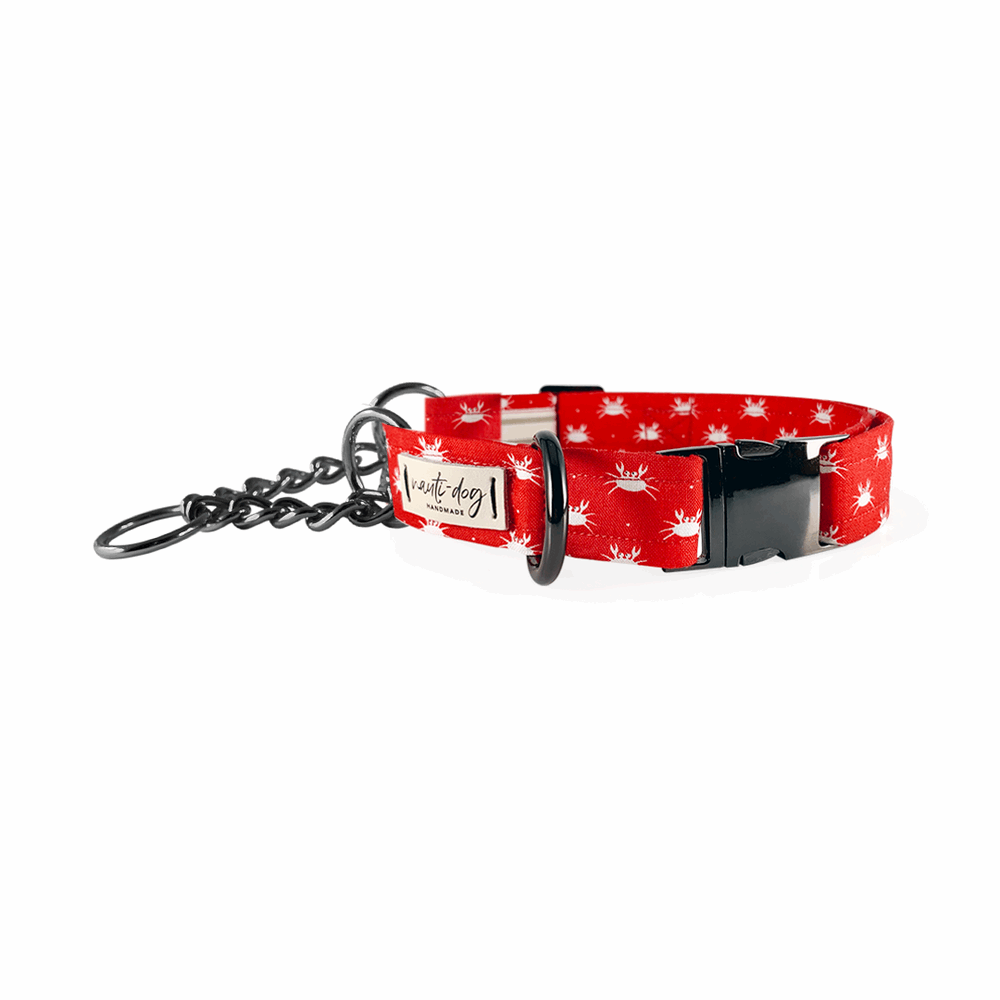 Red Maryland crab-patterned buckle and martingale dog collar with chain attachment.