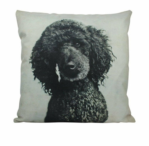 Black Poodle decorative pillow with a vivid photo on an off-white cotton blend background.