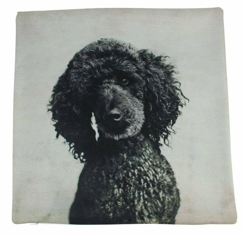 Black poodle photo on off-white cotton blend decorative pillow with concealed zipper