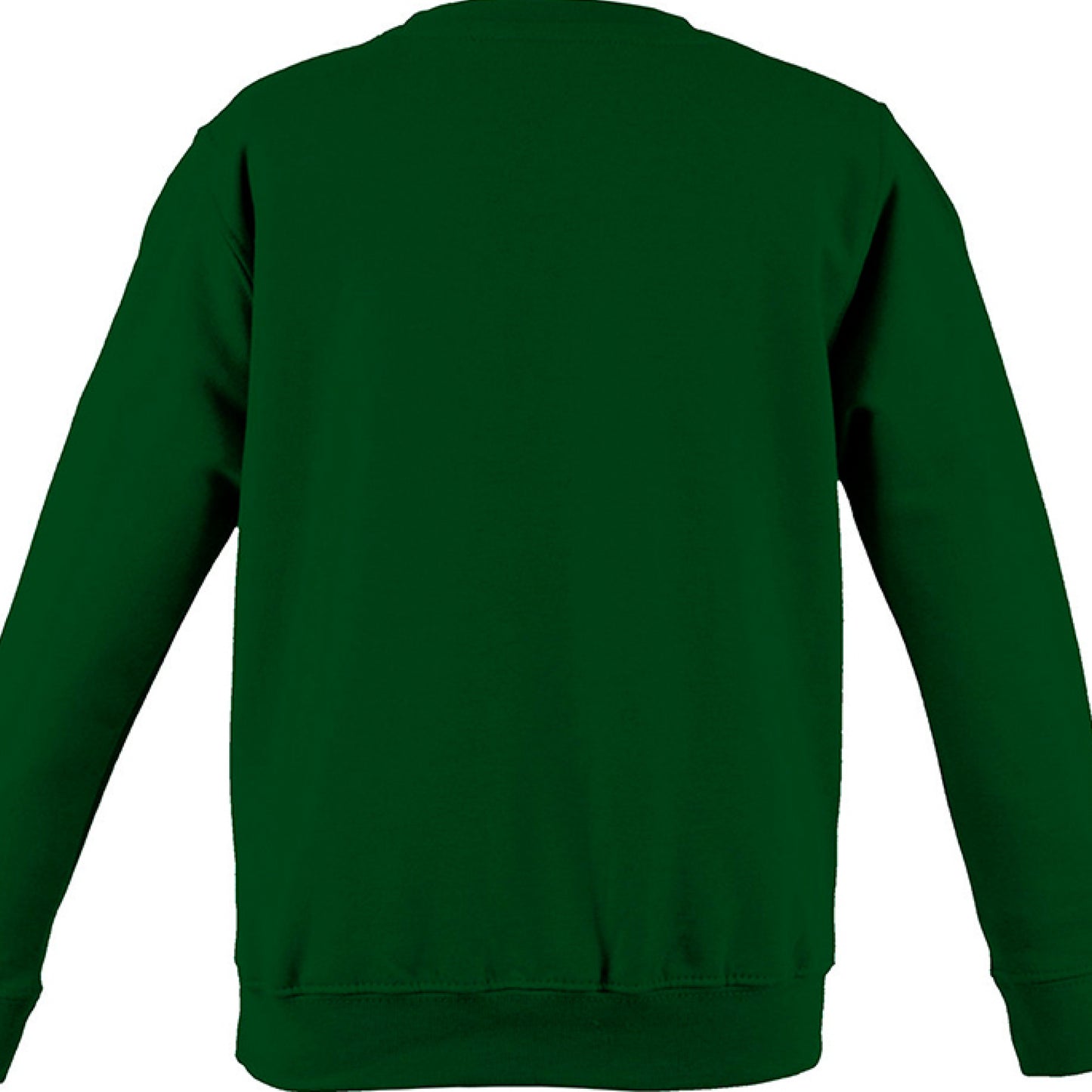 Back view of a green midweight cotton crewneck sweatshirt.