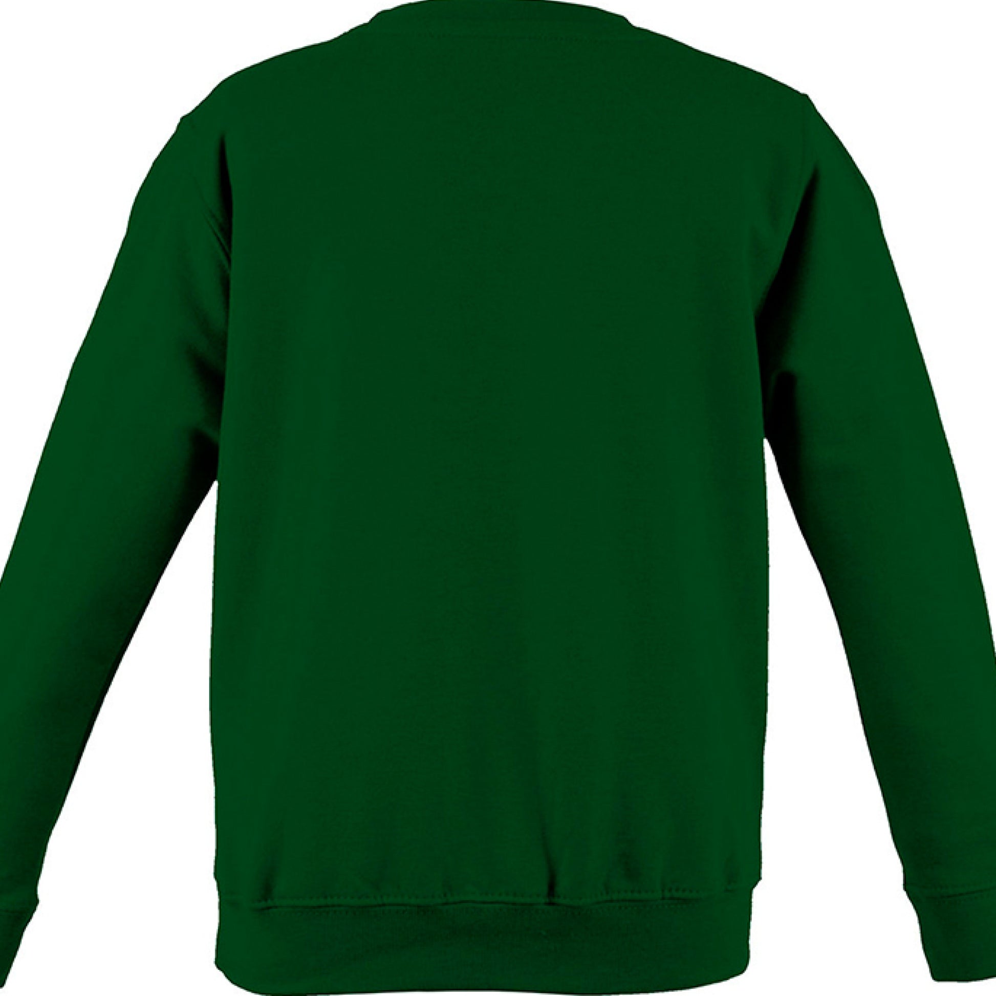 Back view of a green midweight cotton crewneck sweatshirt.