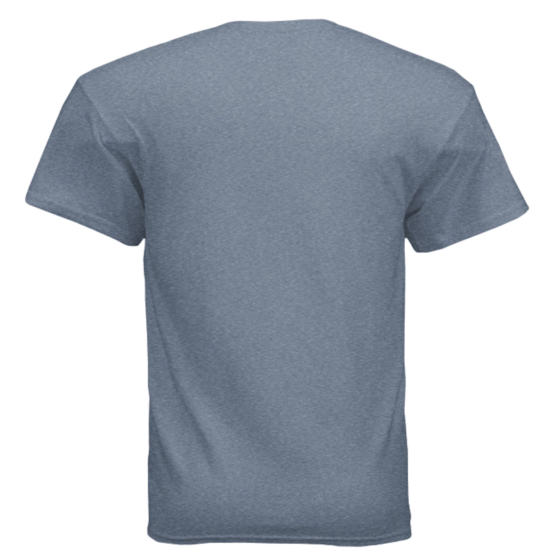 Back view of a gray Gildan Ultra Cotton adult t-shirt.
