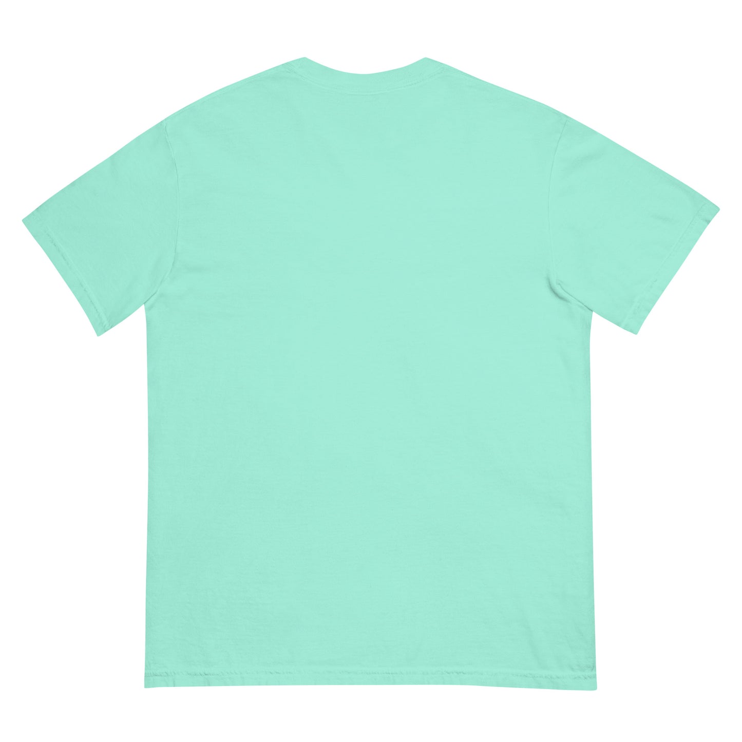 Back view of a plain mint green unisex heavyweight t-shirt.