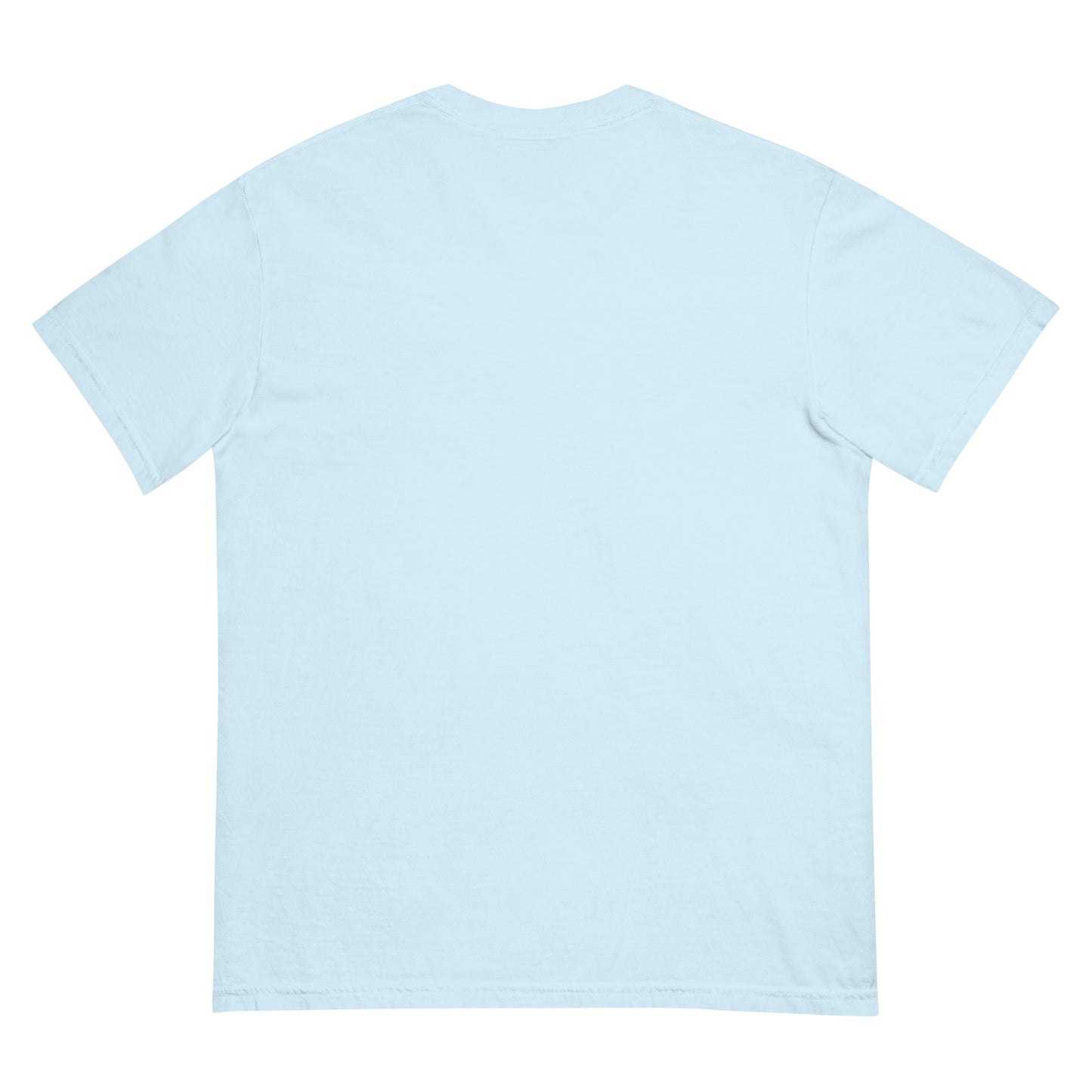 Back view of a light blue heavyweight unisex t-shirt.