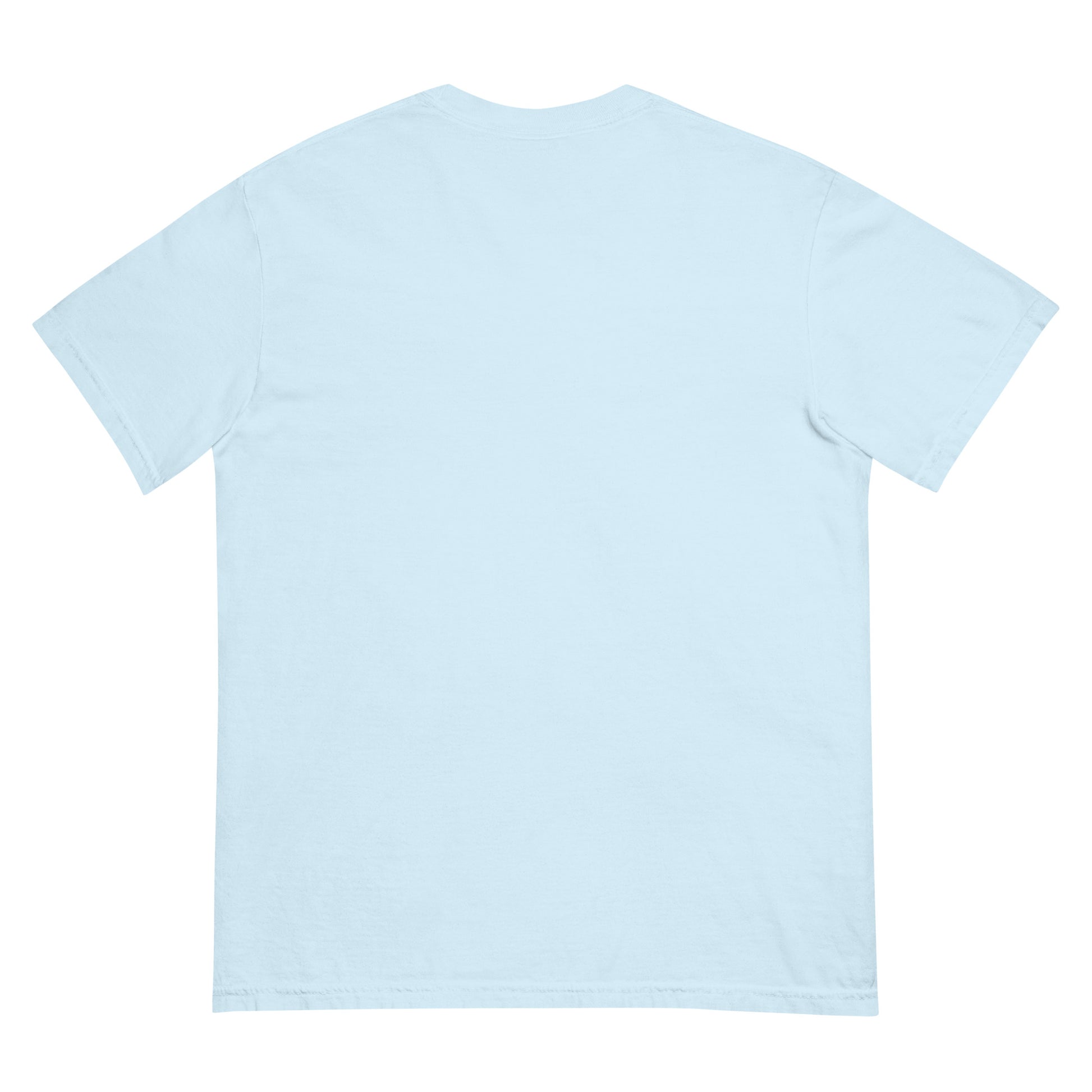 Back view of a light blue heavyweight unisex t-shirt.