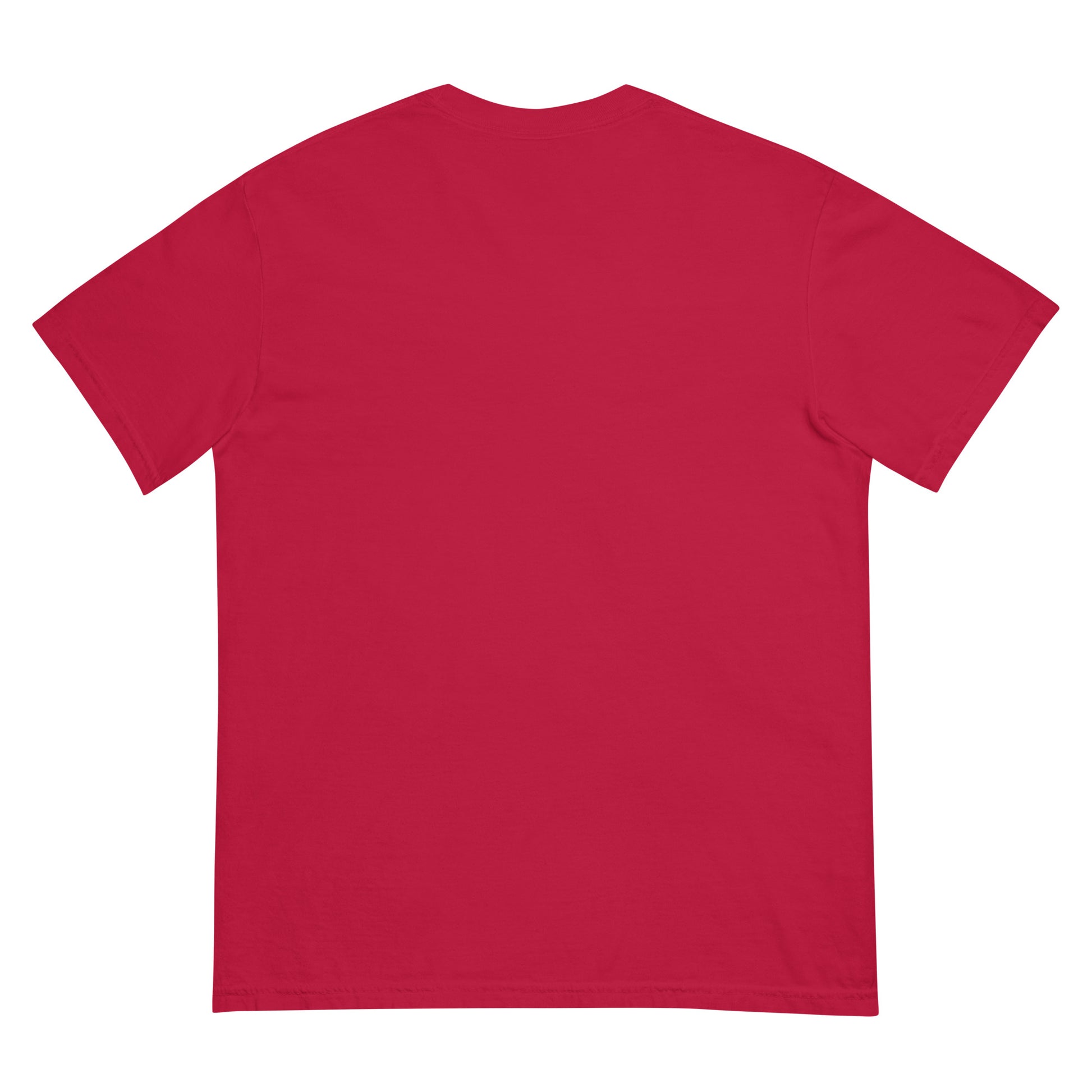Back view of a red heavyweight unisex t-shirt with relaxed fit.
