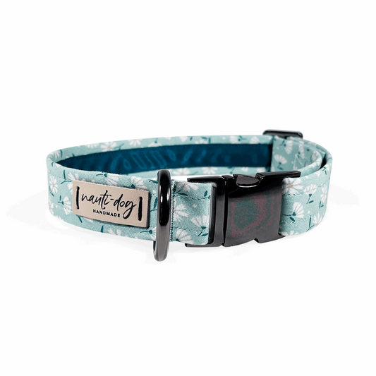Paperwhite Sea Glass Green Daisy Floral Buckle & Martingale Dog Collar with mint tag.