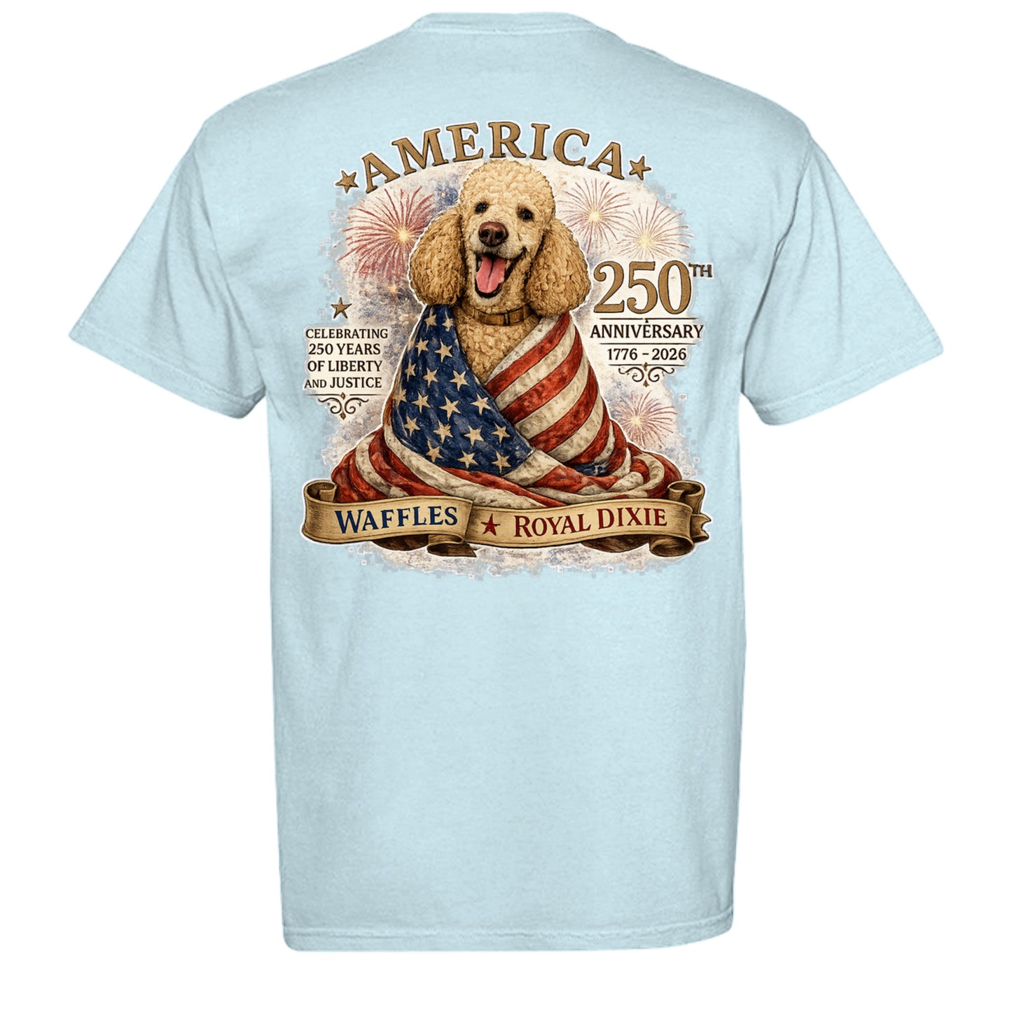 CHAMBRAY - C1717 - BACK