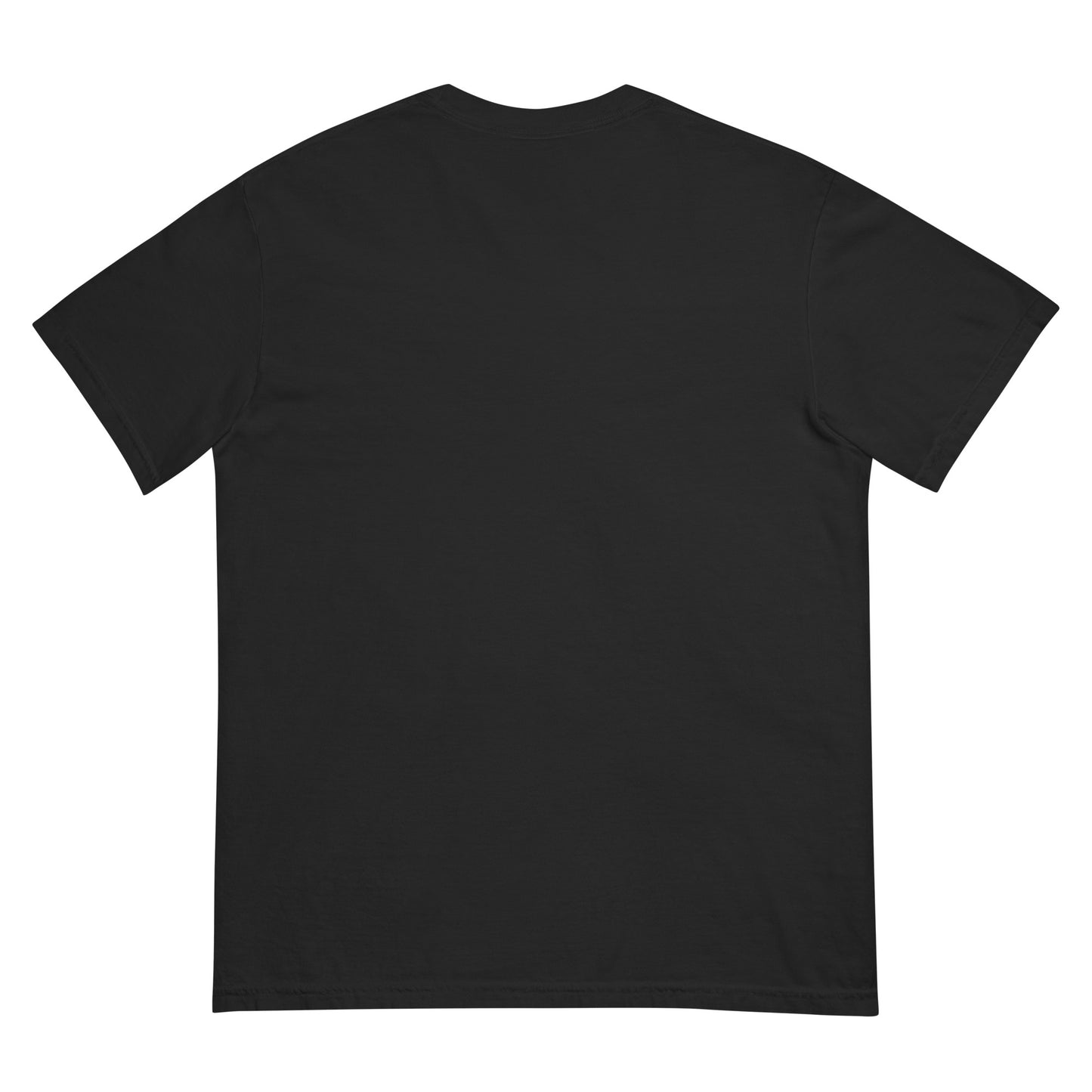 Back view of a black heavyweight unisex t-shirt.