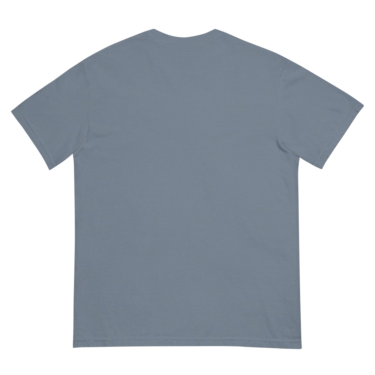 Back view of a gray heavyweight unisex t-shirt with no visible design.