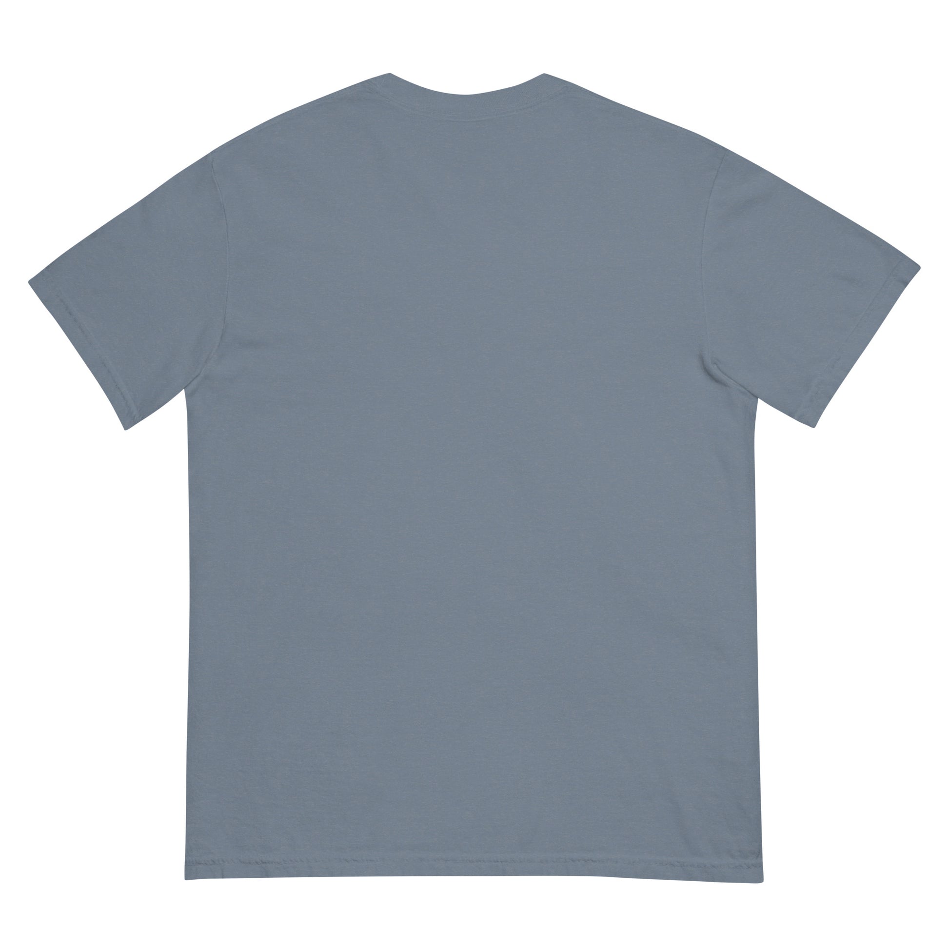 Back view of a gray heavyweight unisex t-shirt with no visible design.