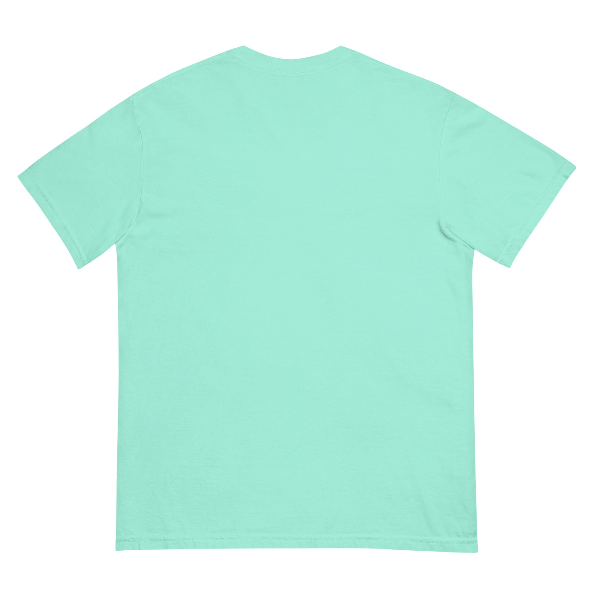 Back view of a plain mint green unisex heavyweight t-shirt.