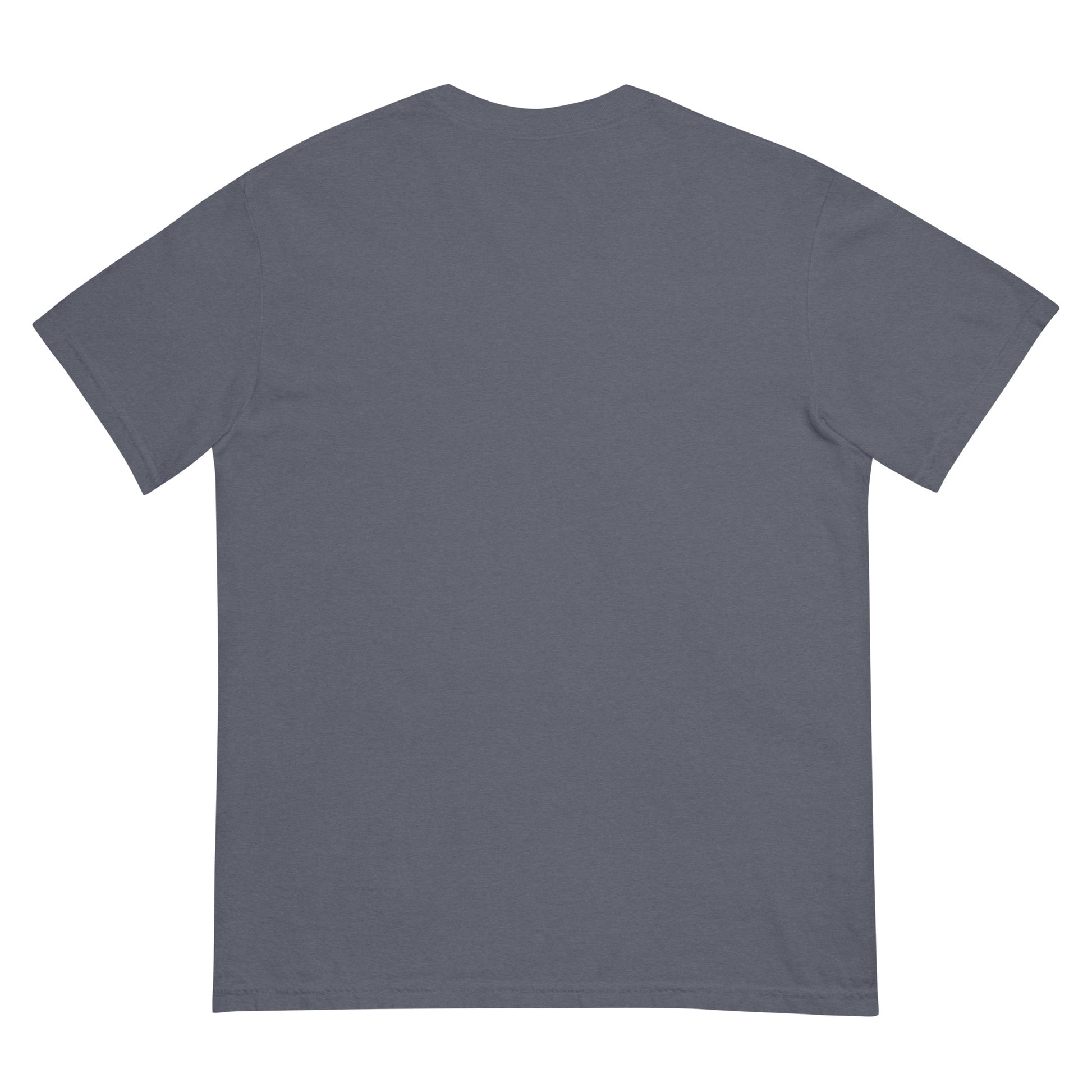 Back view of a gray heavyweight unisex t-shirt with relaxed fit.