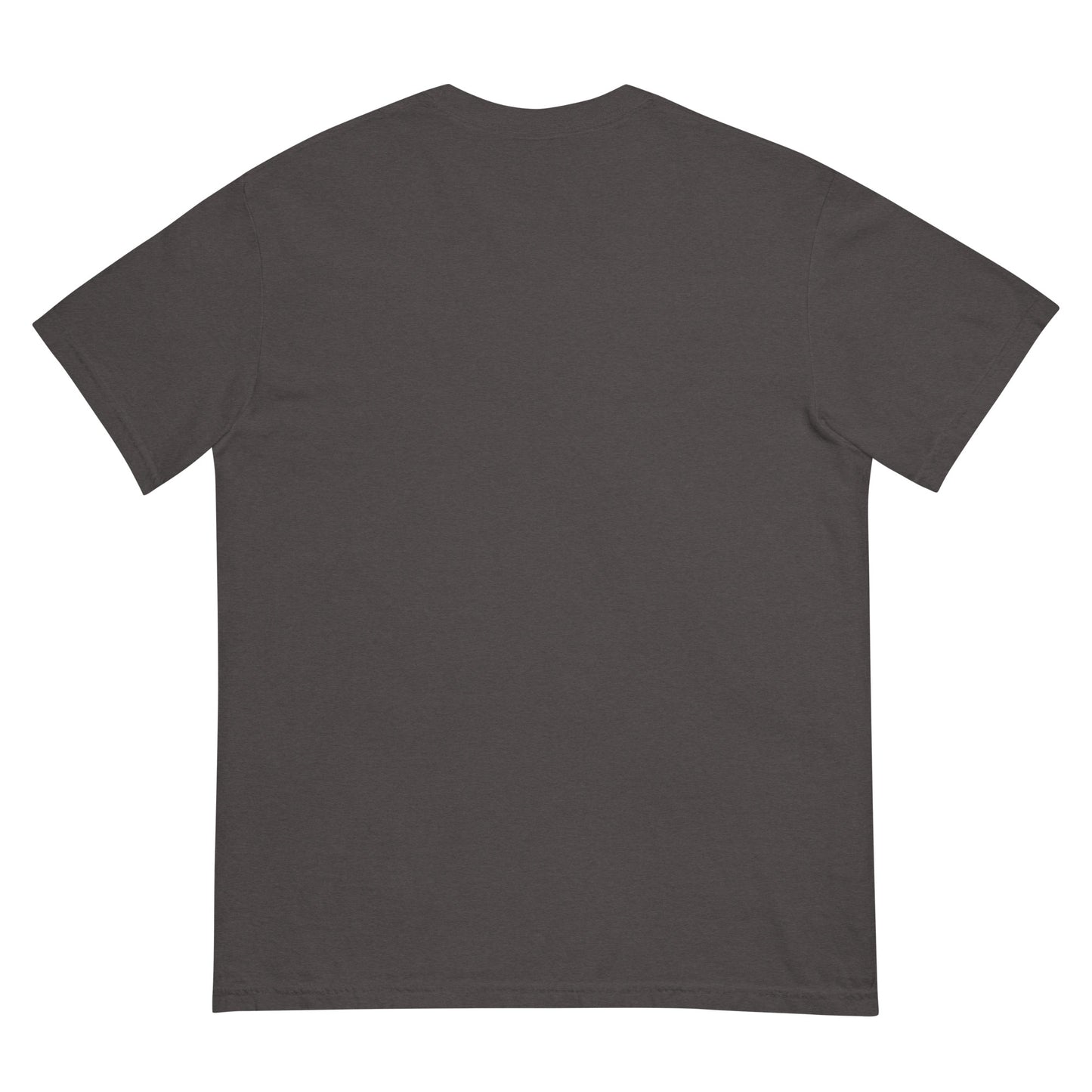 Back view of a gray heavyweight unisex t-shirt with relaxed fit.
