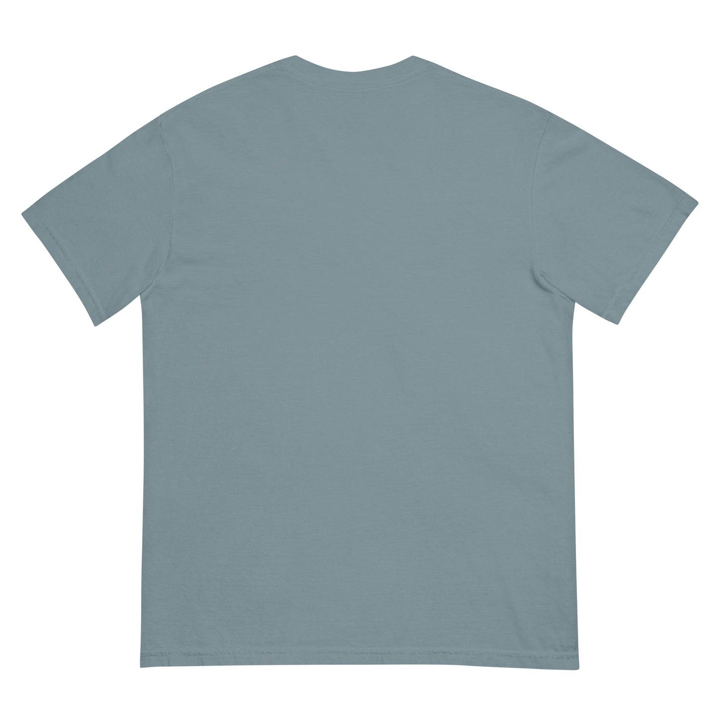 Back view of a gray heavyweight unisex t-shirt with no visible design.