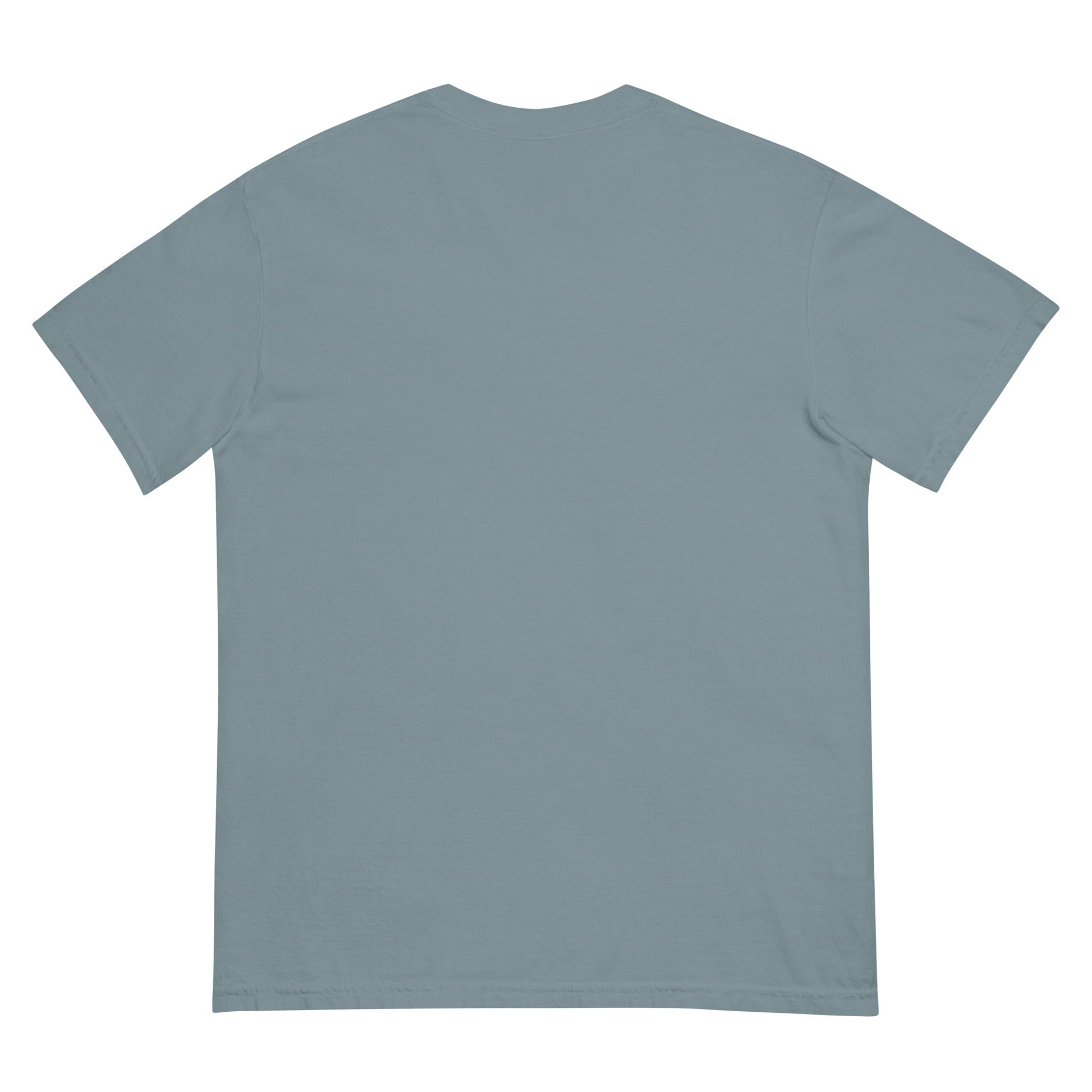 Back view of a gray heavyweight unisex t-shirt with no visible design.